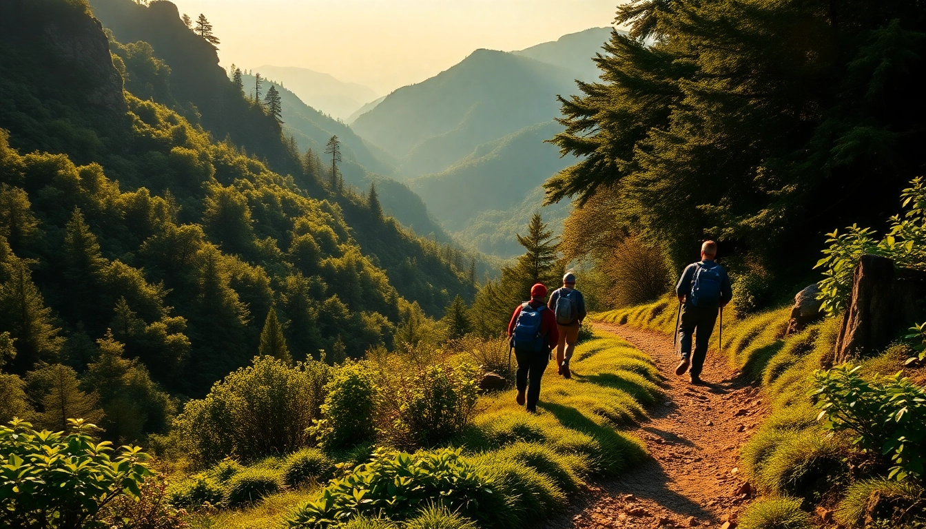 Guided hike through lush forest with hikers and a knowledgeable guide in a scenic mountain setting, emphasizing adventure and nature.